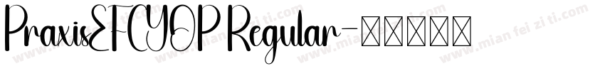 PraxisEFCYOP Regular字体转换
